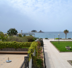 DSC_0254.JPG