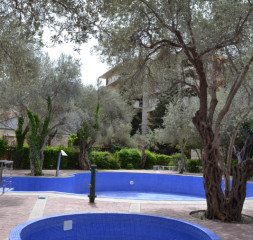 DSC_0306.JPG