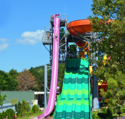 DSC_14491.jpg