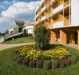 Garden.jpg