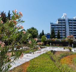 Garden.jpg