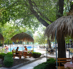 Garden.jpg