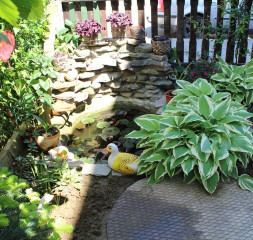 Garden_1.jpg