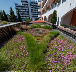 Garden_1.jpg