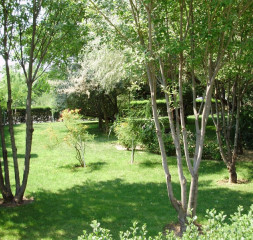 Garden_1.jpg