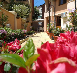 Garden_1.jpg
