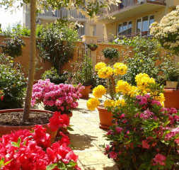Garden.jpg