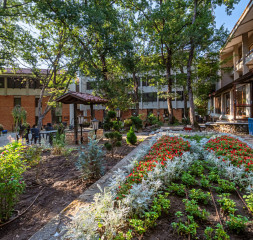 Garden_2.jpg