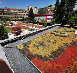Garden_2.jpg