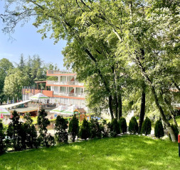 Garden_2.jpg
