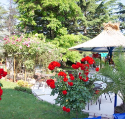 Garden_2.jpg