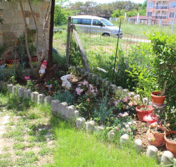 Garden_2.jpg