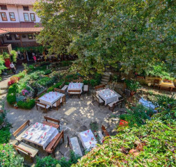 Garden_2.jpg