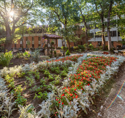 Garden_3.jpg