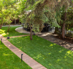 Garden_3.jpg