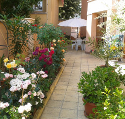 Garden_3.jpg