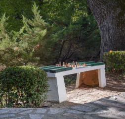Garden_3.jpg