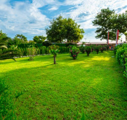 Garden.jpg