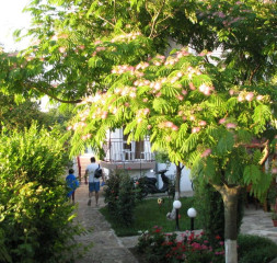 Garden_4.jpg
