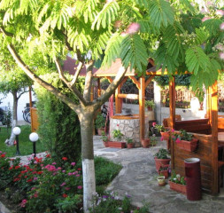 Garden_5.jpg