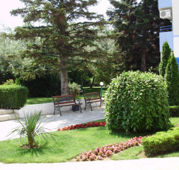 Garden.jpg