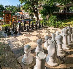Garden_6.jpg