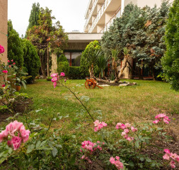 Garden_6.jpg