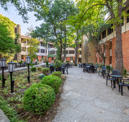 Garden_6.jpg