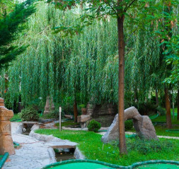 Garden.jpg