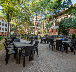 Garden_7.jpg