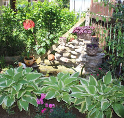 Garden_7.jpg