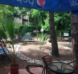 Garden.jpg