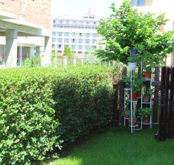 Garden_8.jpg