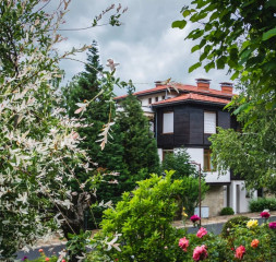 Garden.jpg