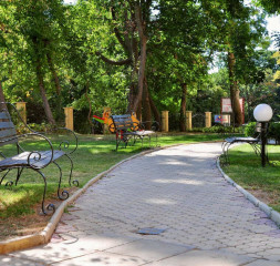 Garden.jpg