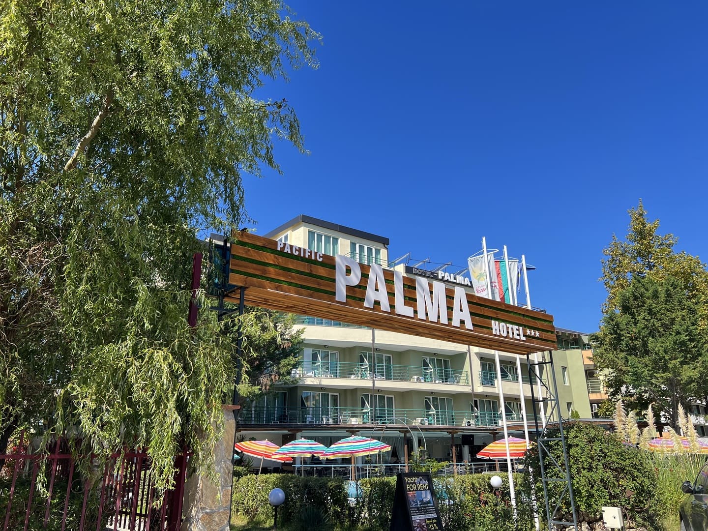 Palma ***