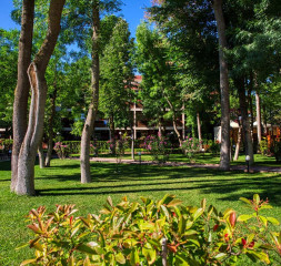 Hotel_Garden_2.jpg