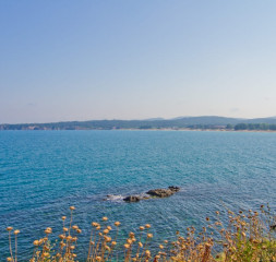 Hotel_View.jpg