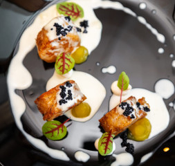Noma_s1_GDS_8581_copy.jpg