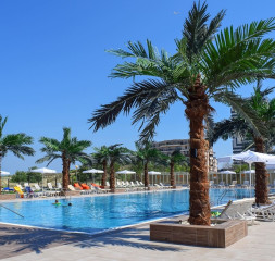 Pool_1.jpg