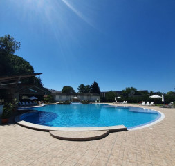 Pool_2.jpeg