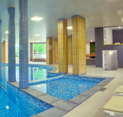 Pool_Indoor_3.jpg