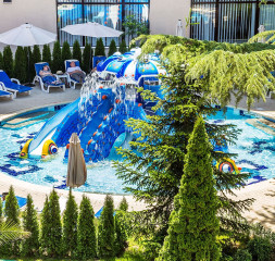 Pool_Octopus.jpg