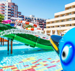 Pool_Pirate.jpg