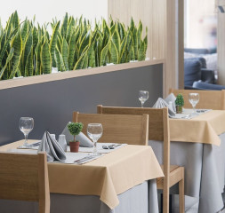 Restaurant_13.jpg