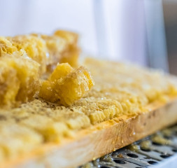 Restaurant_Buffet_8.jpg