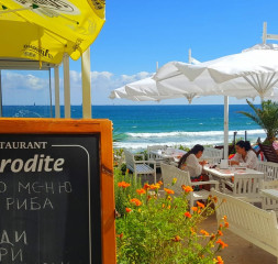 Restaurant_Terrace.jpg