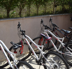 Sport_Bycicle.jpg