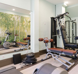 Sport_Gym_1.jpg