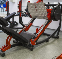 Sport_Gym_1.jpg